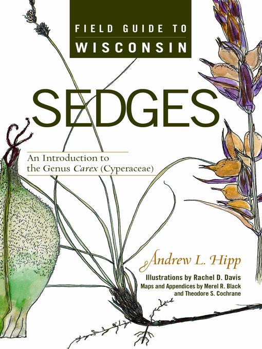 Title details for Field Guide to Wisconsin Sedges by Andrew L. Hipp - Available